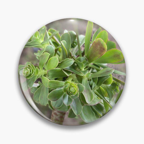 Item preview, Growing Succulent  designed and sold by SucculentLovers.