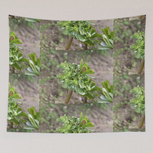 Item preview, Growing Succulent  designed and sold by SucculentLovers.