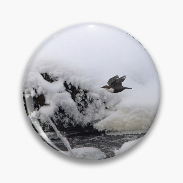 Item preview, Between the rocks. White-throated dipper designed and sold by Jouko Lehto Photography.