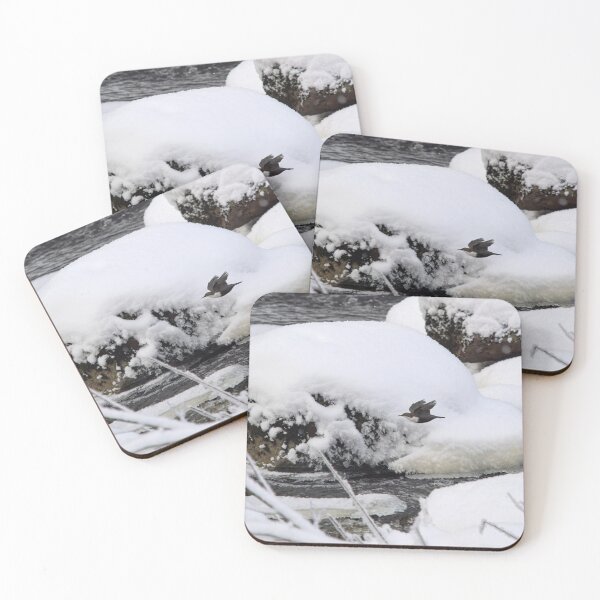 Item preview, Between the rocks. White-throated dipper designed and sold by Jouko Lehto Photography.