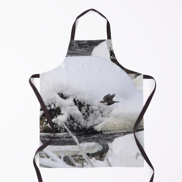 Item preview, Between the rocks. White-throated dipper designed and sold by Jouko Lehto Photography.