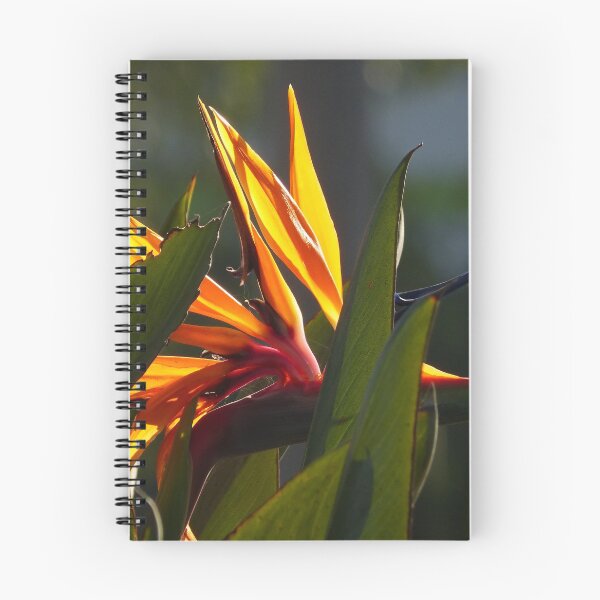 Item preview, tropical zone designed and sold by Bernhard Matejka.