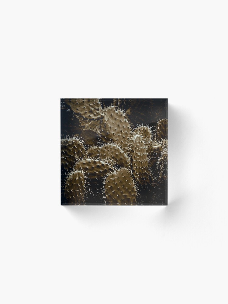 Alternate view of Cactaceae Acrylic Block