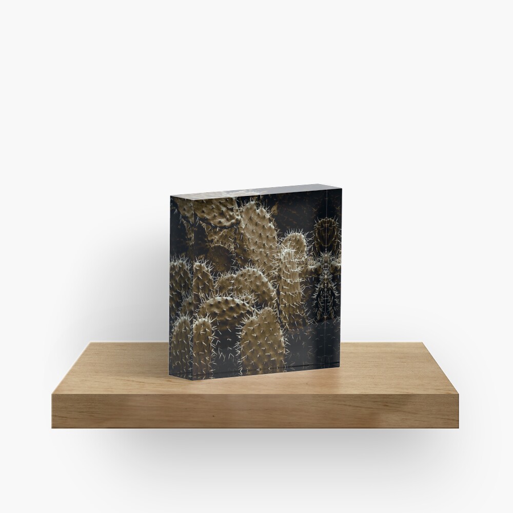 Cactaceae Acrylic Block