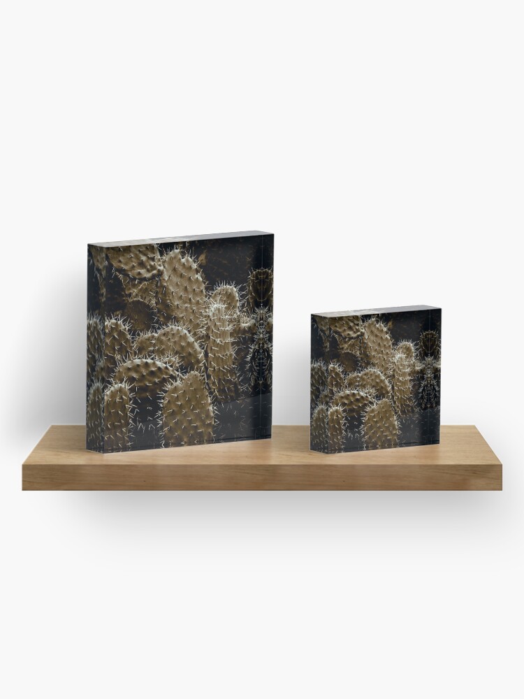 Alternate view of Cactaceae Acrylic Block