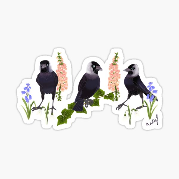 Artikel-Vorschau von Floral Jackdaw, ein mit Blumen geschichtetes Muster. Weiß, designt und verkauft von Naty Design Prague.