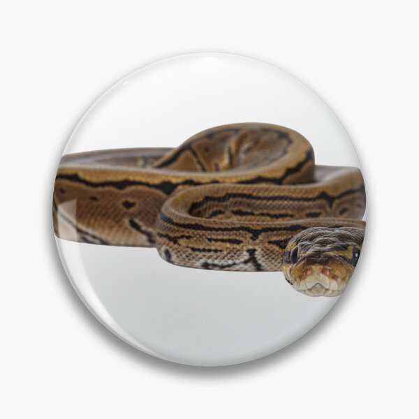 Aperçu de l'œuvre Snek créée et vendue par Andromedamami.