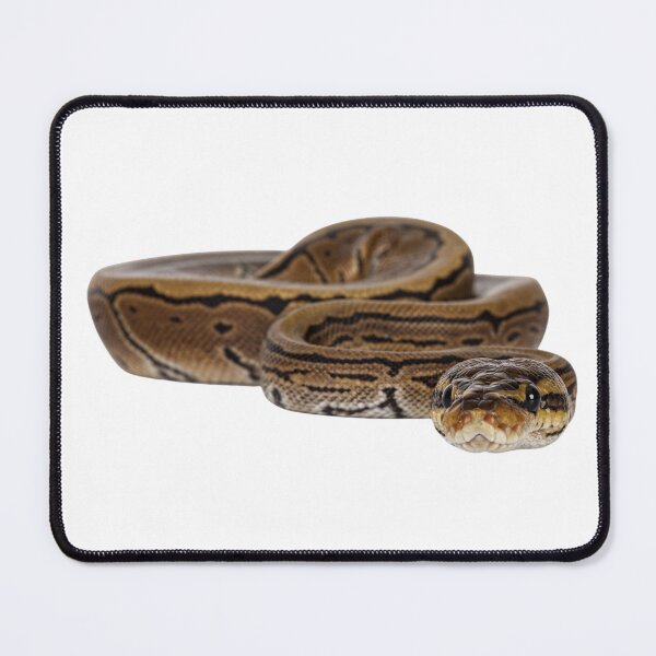 Item preview, Snek designed and sold by Andromedamami.