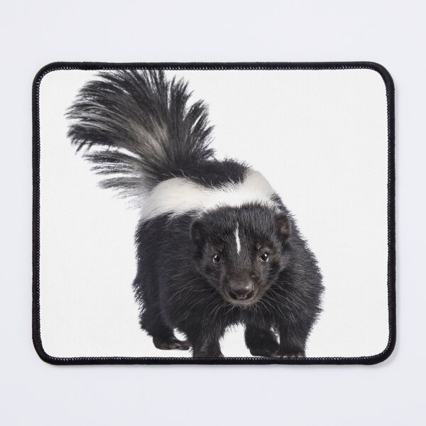 Item preview, Skunk designed and sold by Andromedamami.