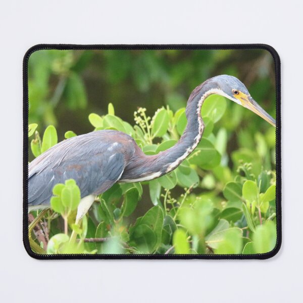 Item preview, Singing with Delight designed and sold by Michiale.