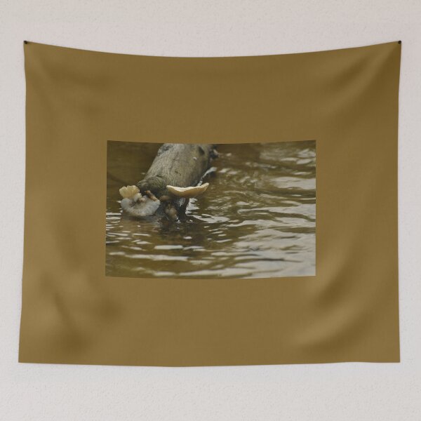 Item preview, Divided growth designed and sold by FoxGlove5.