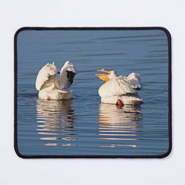 Item preview, Squabbling Bandits designed and sold by Michiale.