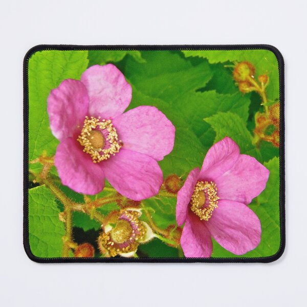 Item preview, Wild pik roses designed and sold by Shulie1.