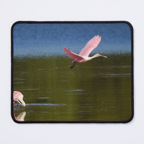 Item preview, Stepping Into Something New designed and sold by Michiale.