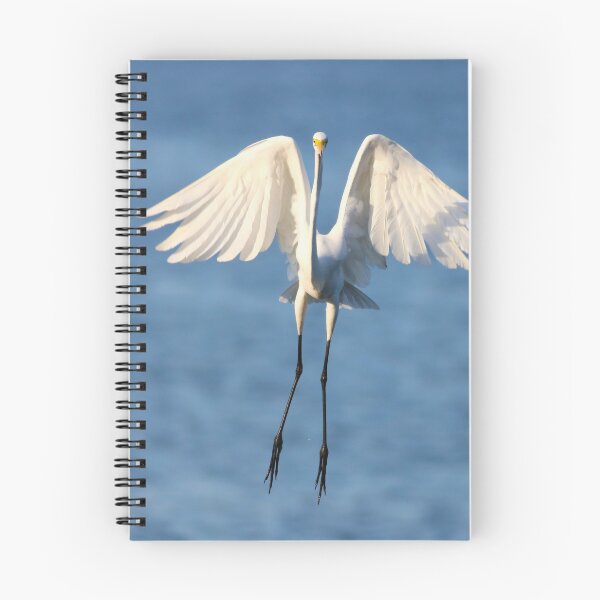 Item preview, The Grand Symphony  designed and sold by Michiale.
