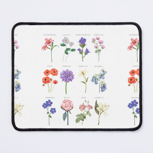 Item preview, Flower herbarium designed and sold by Dominika Farkašová.