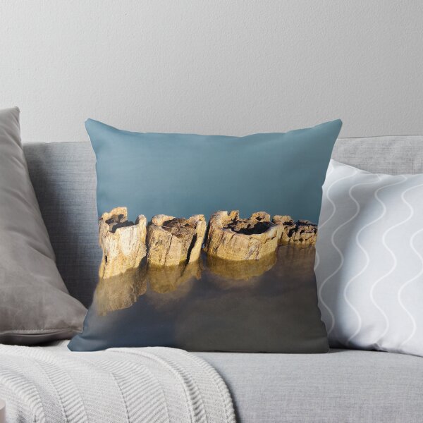 Item preview, Rotten Logs in the Lake Water designed and sold by Gaboro.