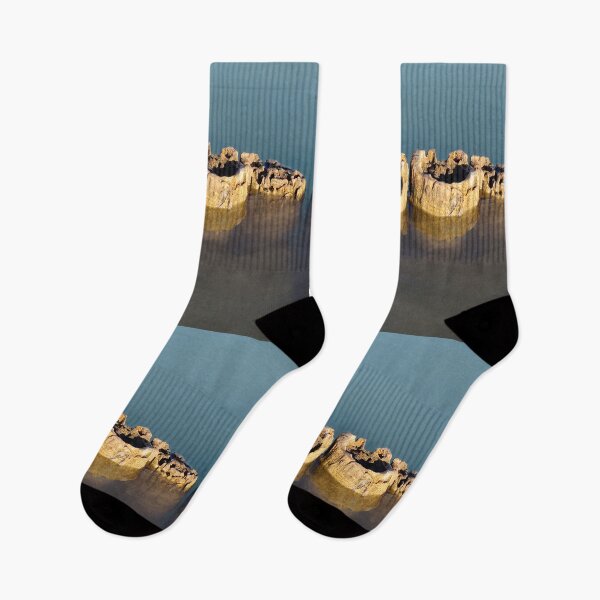 Item preview, Rotten Logs in the Lake Water designed and sold by Gaboro.