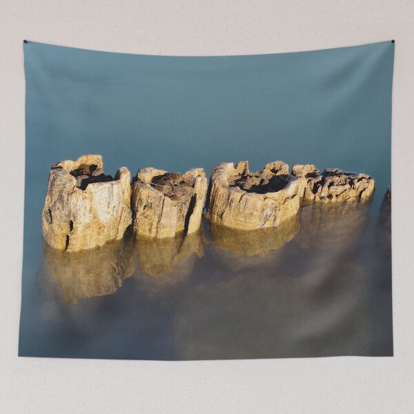 Item preview, Rotten Logs in the Lake Water designed and sold by Gaboro.