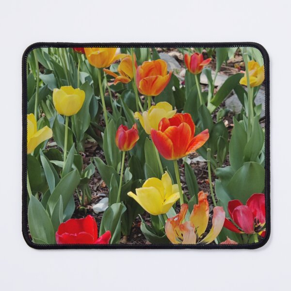Item preview, Mixed Tulips designed and sold by faulbe.