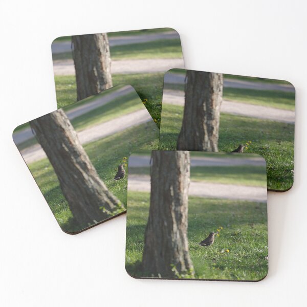 Item preview, Cute Bird Songbird Singing Original Wall Art Photography High Quality designed and sold by RVBINA.