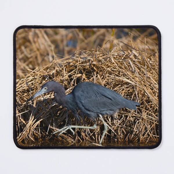 Item preview, A Little Blue Heron designed and sold by CloserToTheArt.
