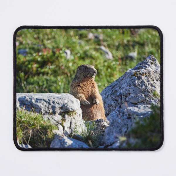 Item preview, "Hello there" designed and sold by Andreas Koerner.