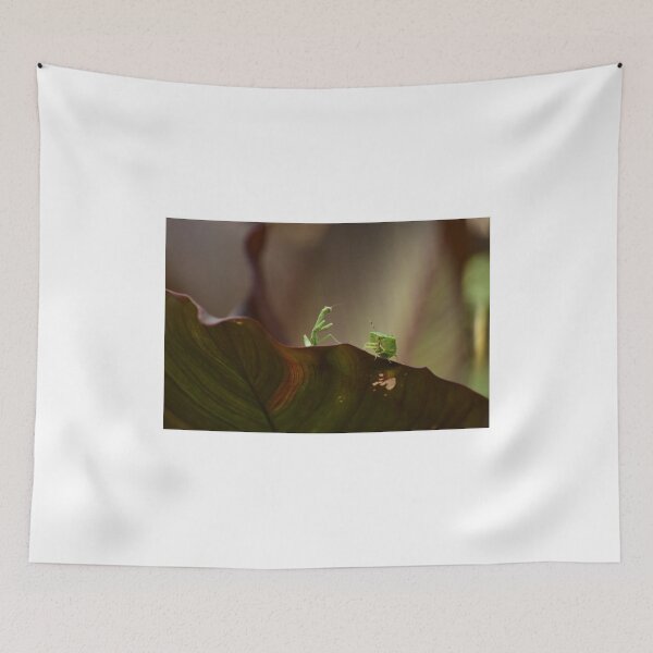 Item preview, What are you looking at? designed and sold by FoxGlove5.