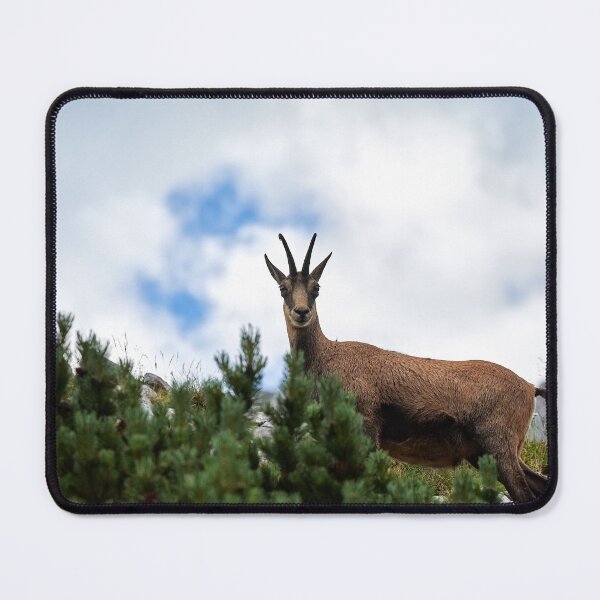 Item preview, "chamois" designed and sold by Andreas Koerner.