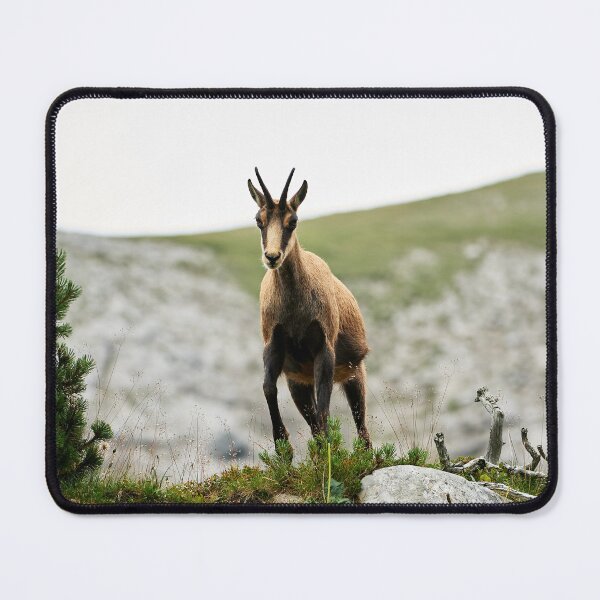 Item preview, "I'm there" designed and sold by Andreas Koerner.