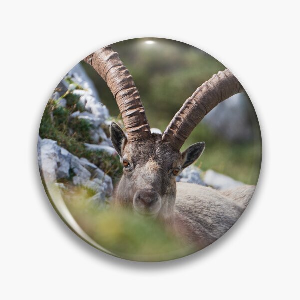 Item preview, "I see you" designed and sold by Andreas Koerner.