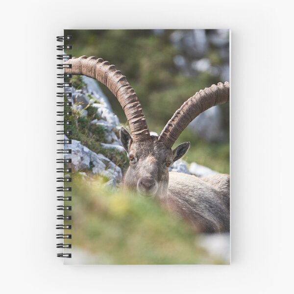 Item preview, "I see you" designed and sold by Andreas Koerner.