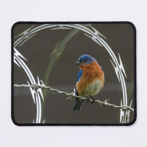 Item preview, Jailbird designed and sold by tracyam.