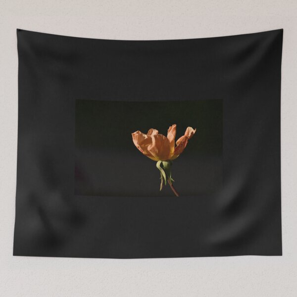 Item preview, Peach colored rose in the sunlight designed and sold by FoxGlove5.