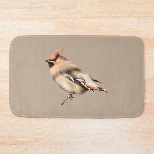 Item preview, Bohemian Waxwing Placement Print designed and sold by Jane Stanley Photography.