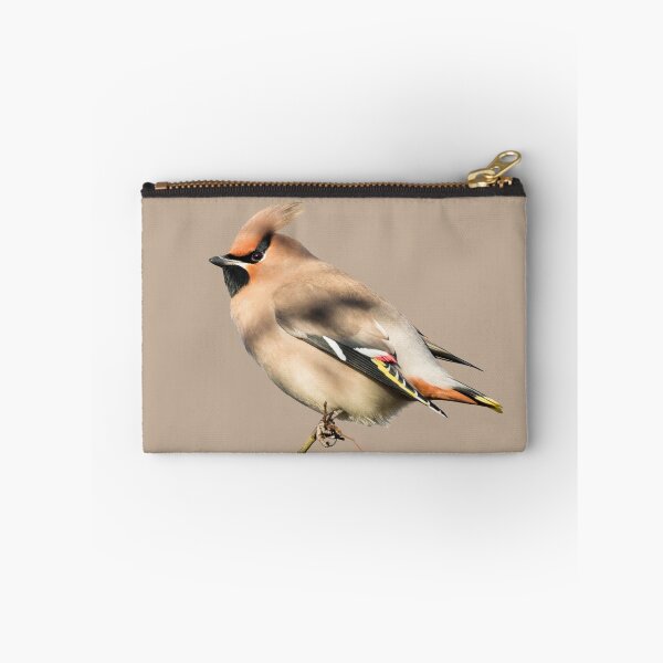 Item preview, Bohemian Waxwing Placement Print designed and sold by Jane Stanley Photography.