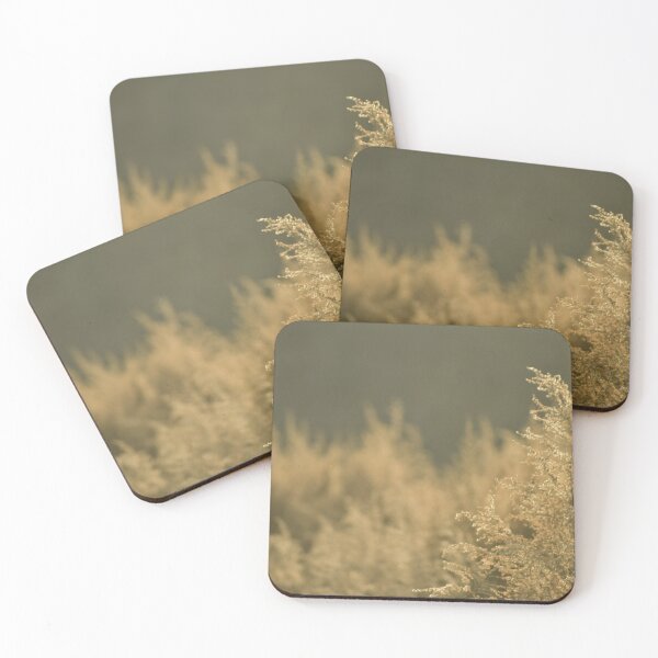 Item preview, Dried plant life in the winter wind with warm tones designed and sold by FoxGlove5.