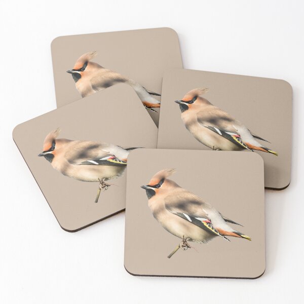Item preview, Bohemian Waxwing Placement Print designed and sold by Jane Stanley Photography.