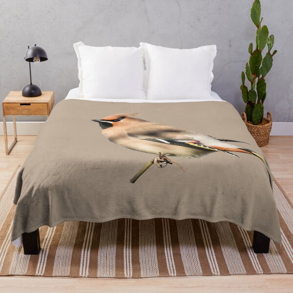 Item preview, Bohemian Waxwing Placement Print designed and sold by Jane Stanley Photography.