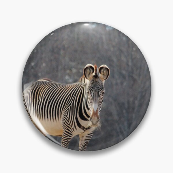 Item preview, Zebra Looking At You designed and sold by Cynthia48.