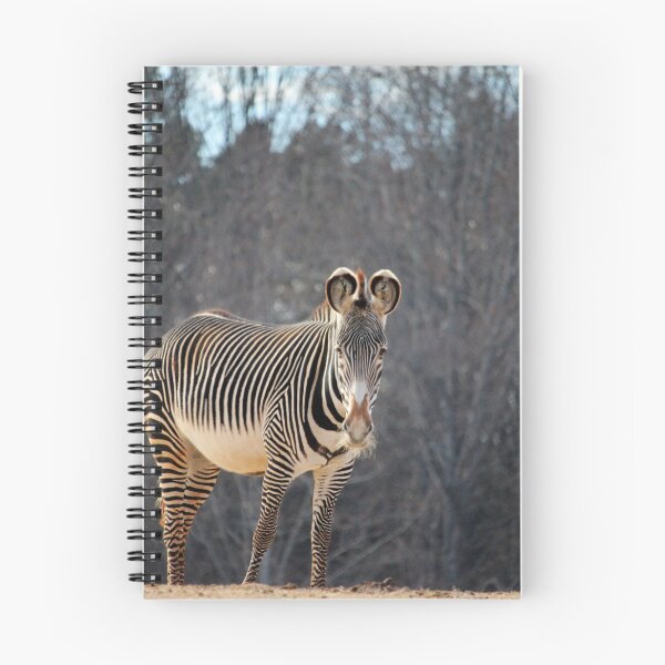 Item preview, Zebra Looking At You designed and sold by Cynthia48.