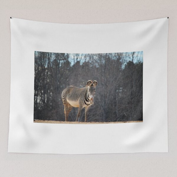 Item preview, Zebra Looking At You designed and sold by Cynthia48.