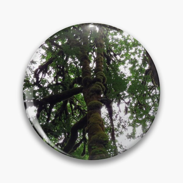 Artikelvorschau, Silver Falls State Park entworfen und verkauft von supernova23.