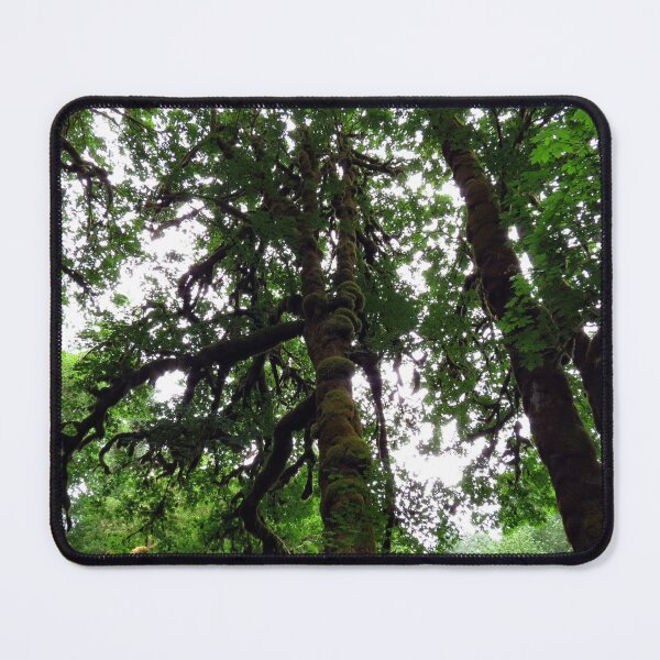 Item preview, Silver Falls State Park designed and sold by supernova23.