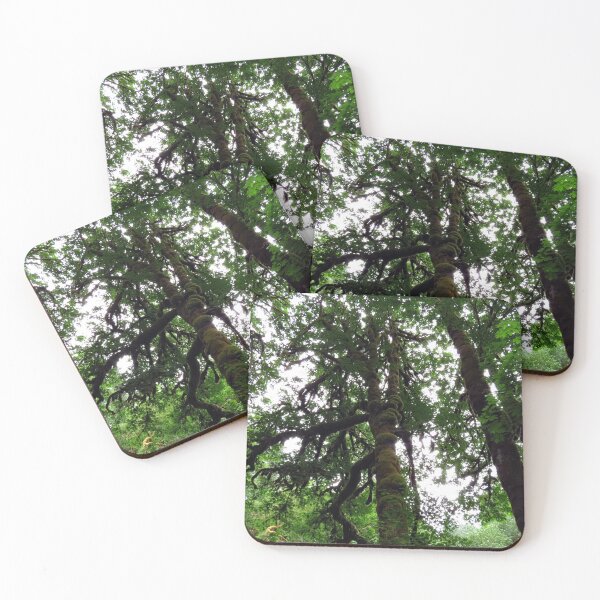 Item preview, Silver Falls State Park  designed and sold by supernova23.