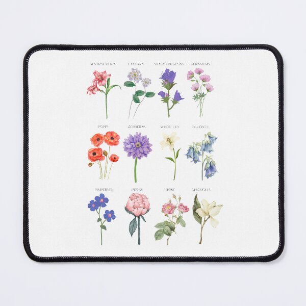 Item preview, Herbarium designed and sold by Dominika Farkašová.