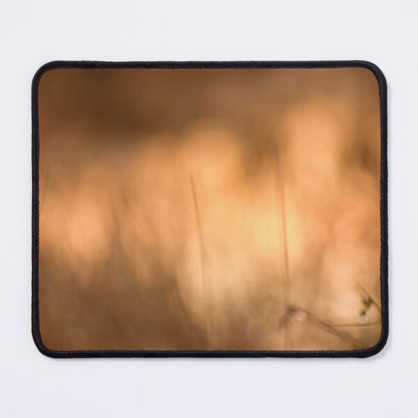 Item preview, In camera movement of a wet grassy field in the winter. designed and sold by FoxGlove5.