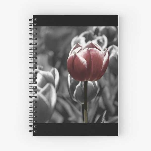 Item preview, Tulip pleasure designed and sold by Chris Van Niekerk.