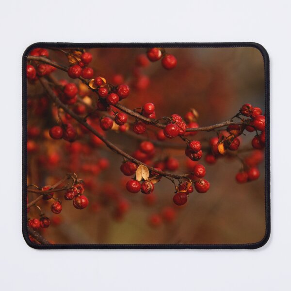 Item preview, Autumn Bittersweet... designed and sold by Poete100.