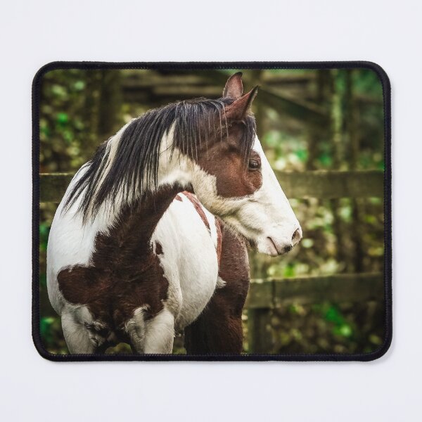 Item preview, Stunning Pinto designed and sold by Svgsvg.
